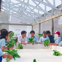 Kegiatan Outdoor Study Kelas VI SD Metta Maitreya ke KebunKita Pekanbaru | SD METTA MAITREYA